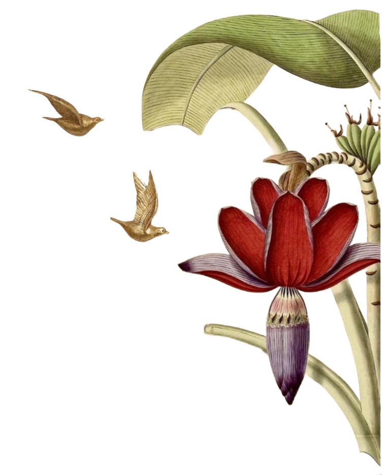 Vaazha decoration